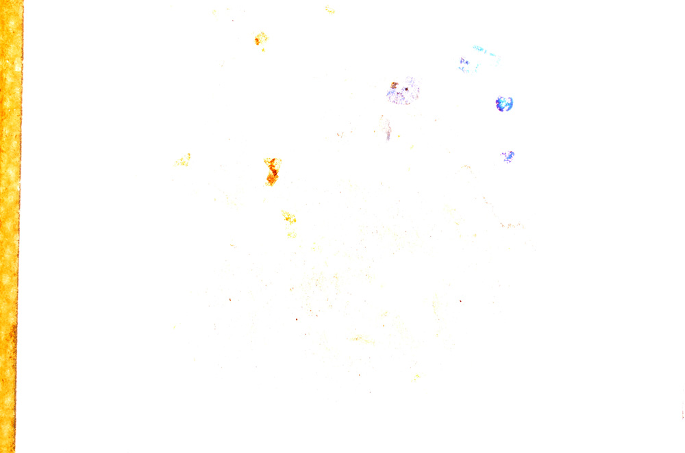 Plane Polarized, E3313
