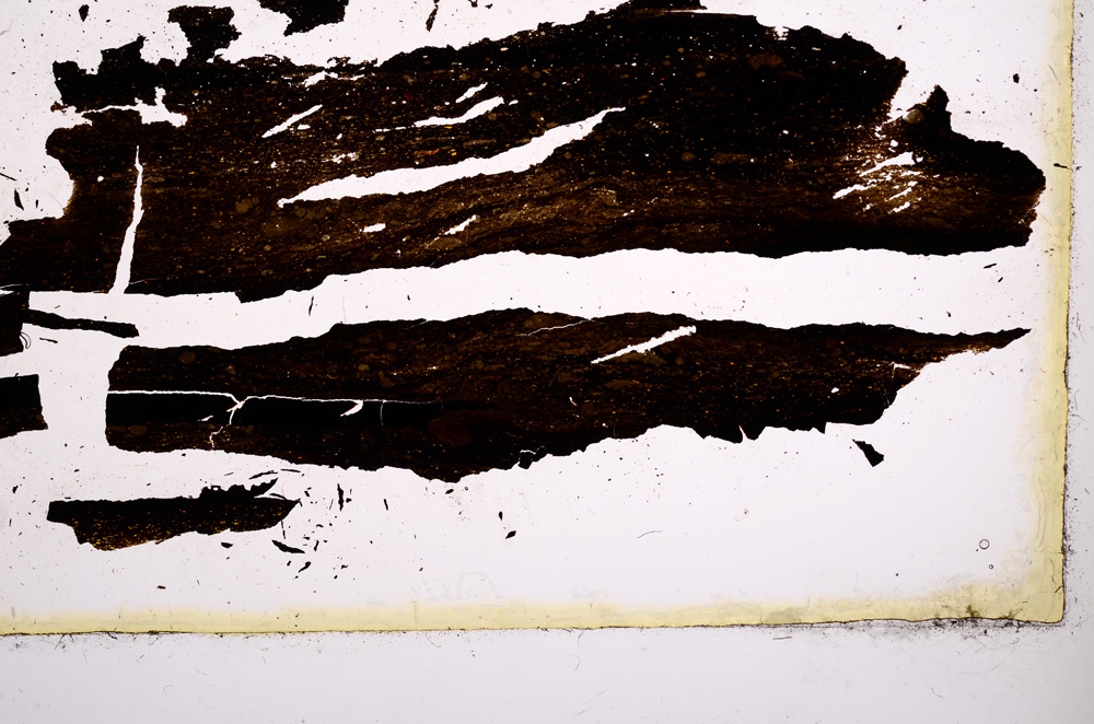 Plane Polarized, E3353