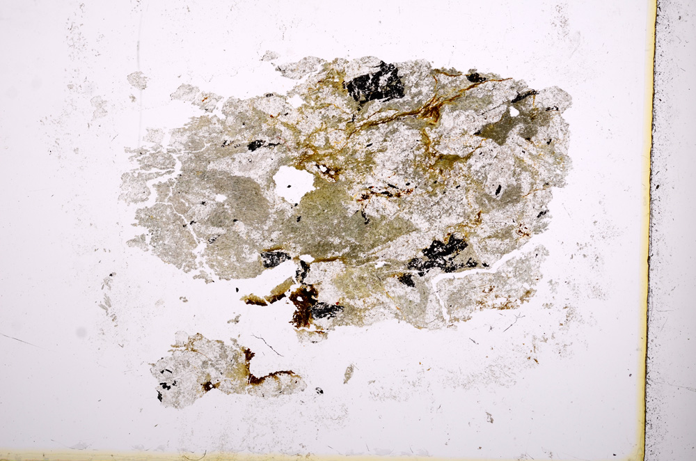 Plane Polarized, E3368