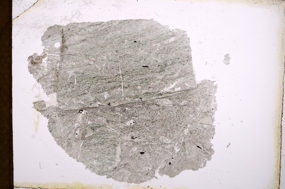 Plane Polarized, E3374