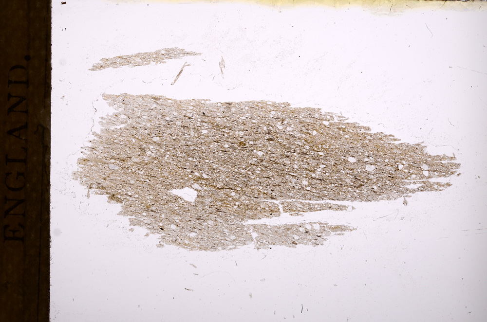 Plane Polarized, E3388
