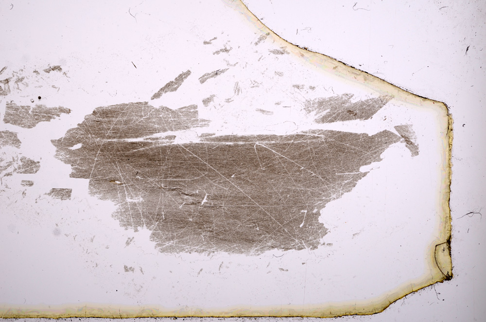 Plane Polarized, E3393