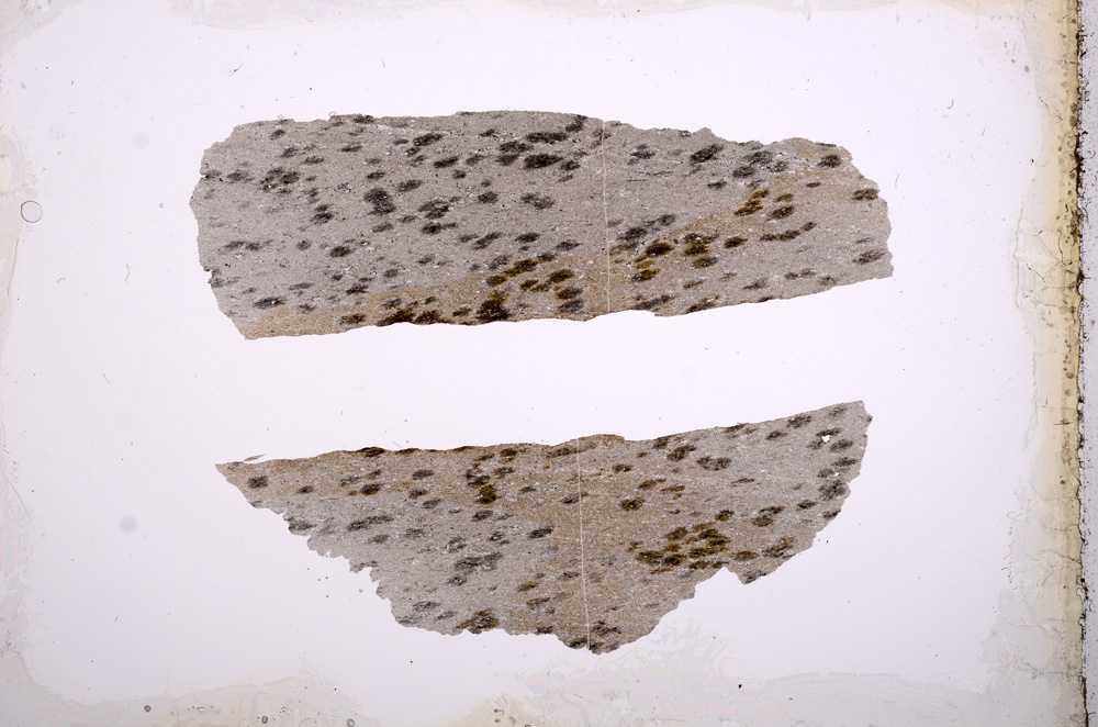 Plane Polarized, E3430