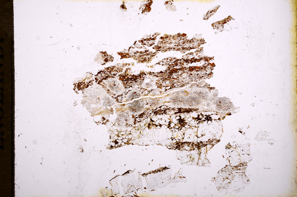 Plane Polarized, E3437