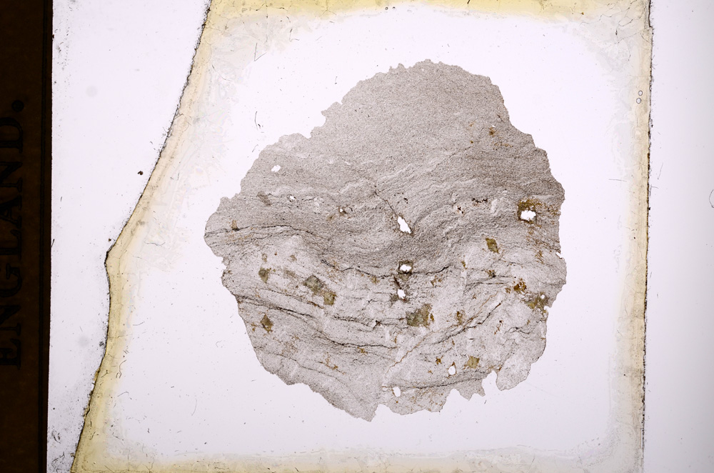 Plane Polarized, E3474