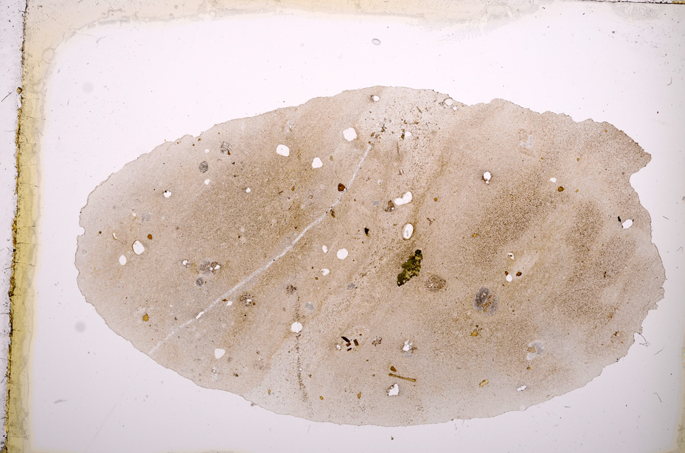 Plane Polarized, E3479