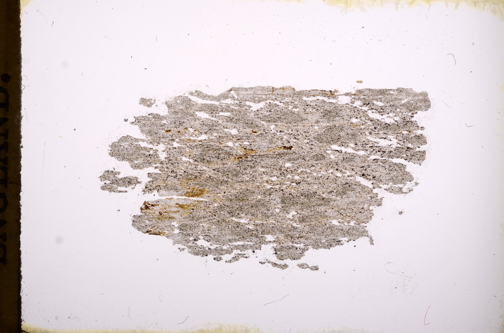 Plane Polarized, E3484