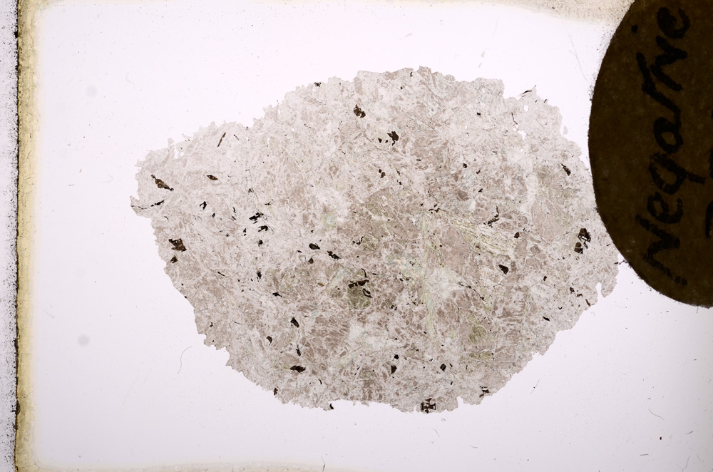 Plane Polarized, E3488