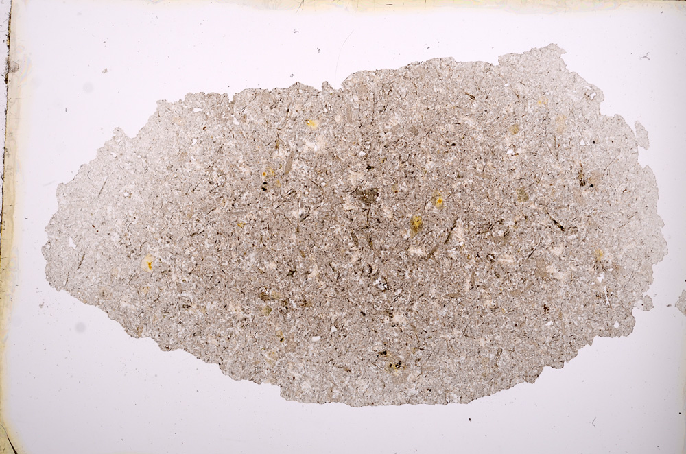 Plane Polarized, E3489