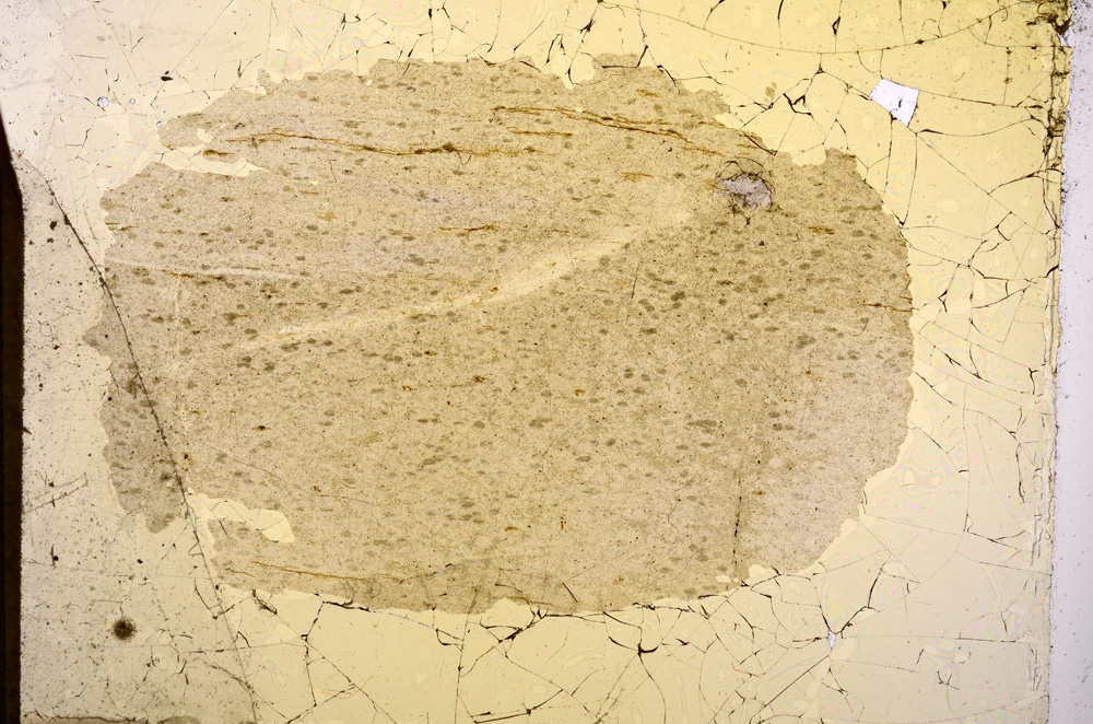 Plane Polarized, E3513