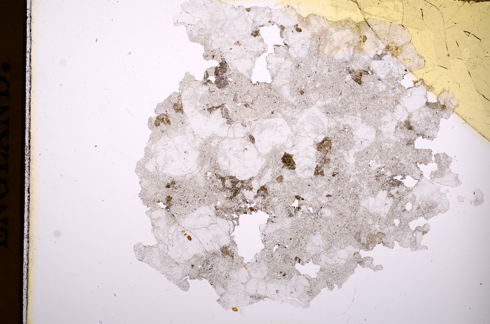 Plane Polarized, E3516