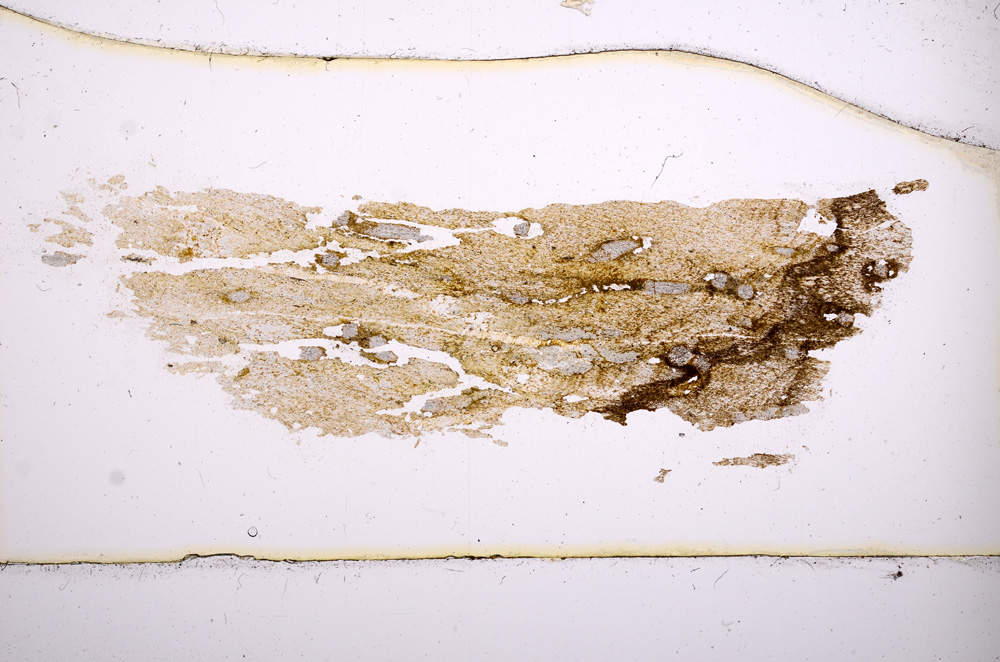 Plane Polarized, E3517