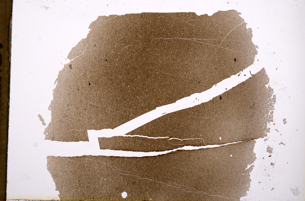 Plane Polarized, E3536