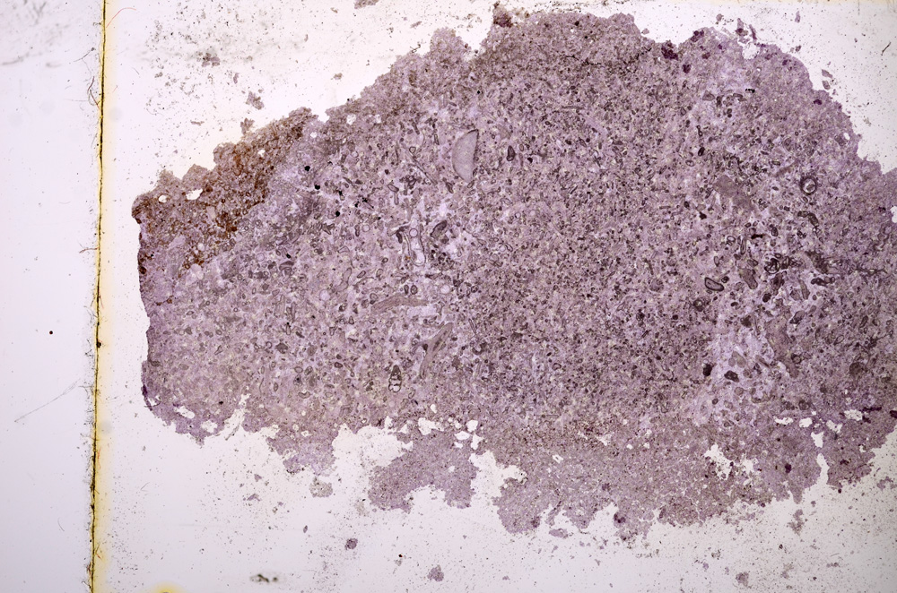 Plane Polarized, E3544