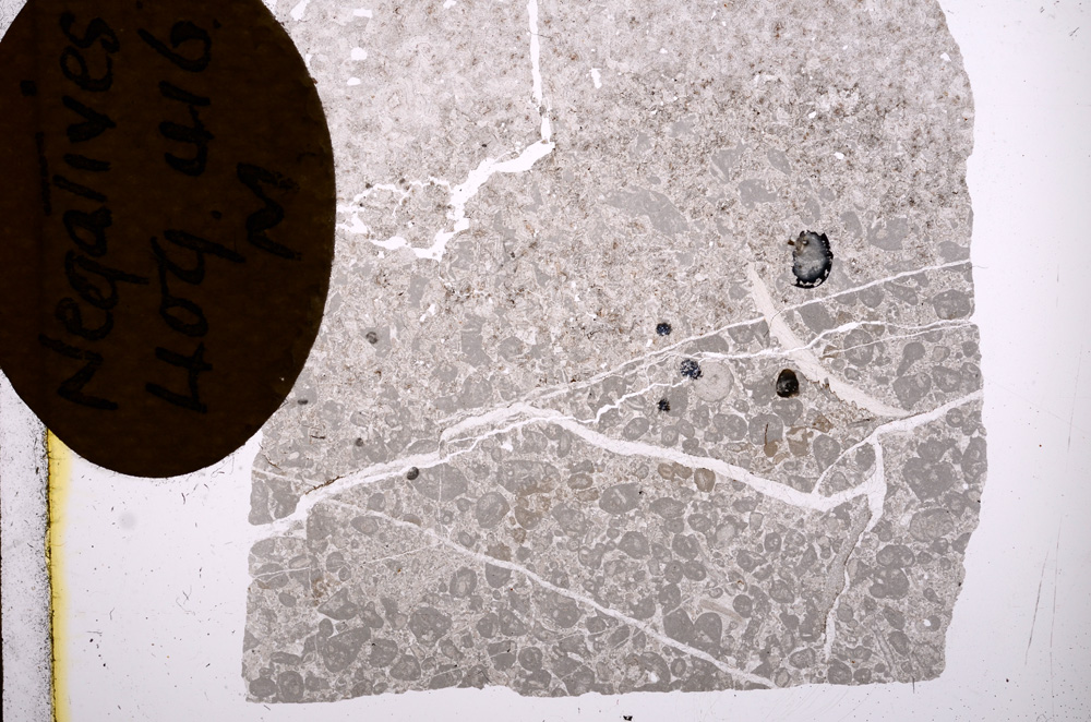 Plane Polarized, E3553