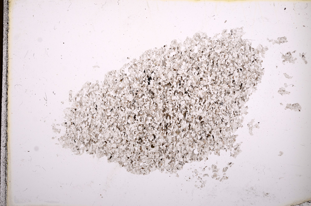 Plane Polarized, E3581