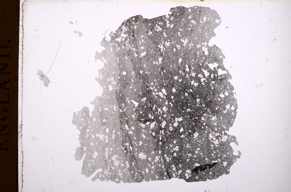 Plane Polarized, E3621