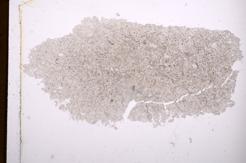 Plane Polarized, E3623