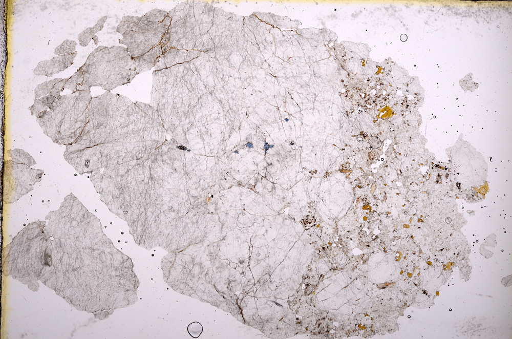 Plane Polarized, E3635