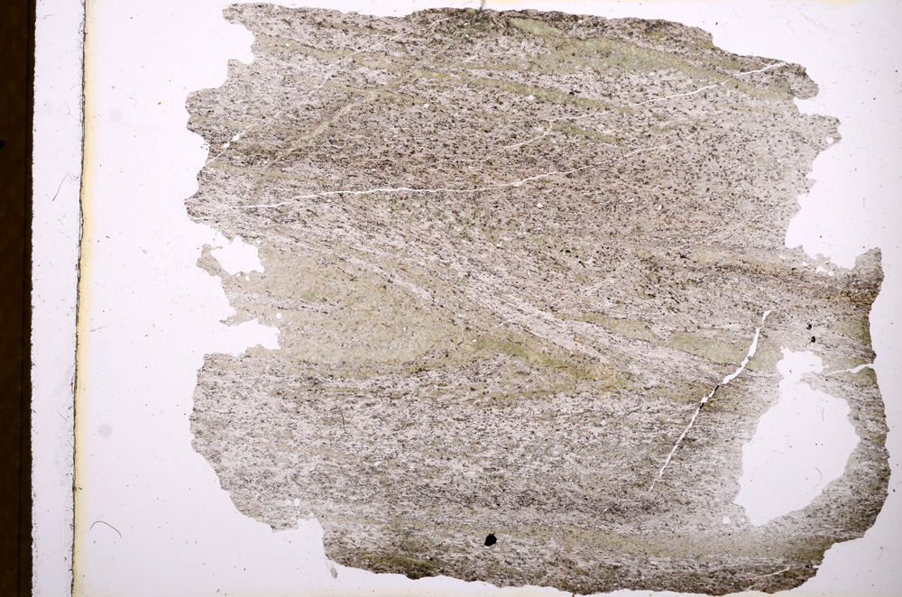 Plane Polarized, E3669