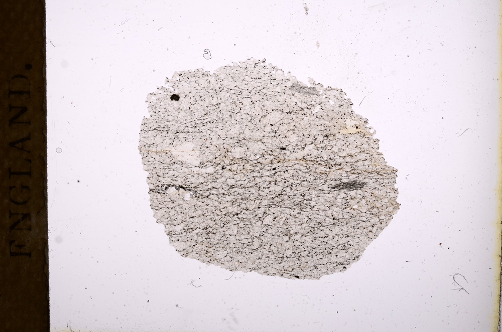 Plane Polarized, E3671