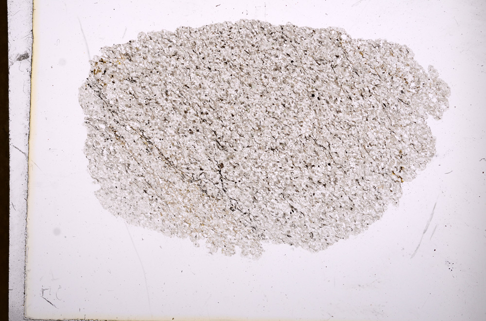 Plane Polarized, E3673