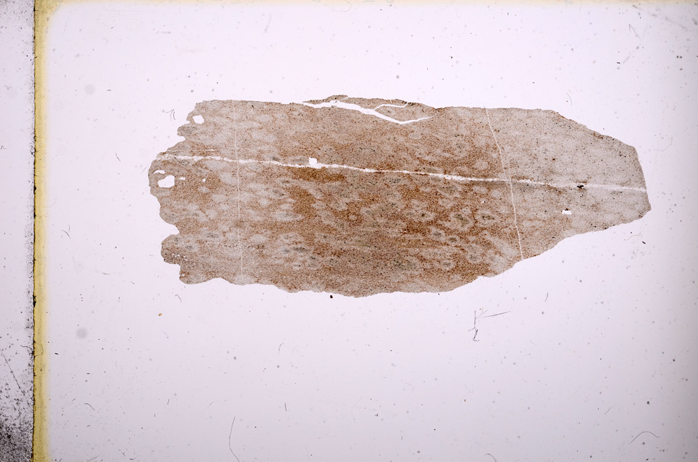 Plane Polarized, E3720