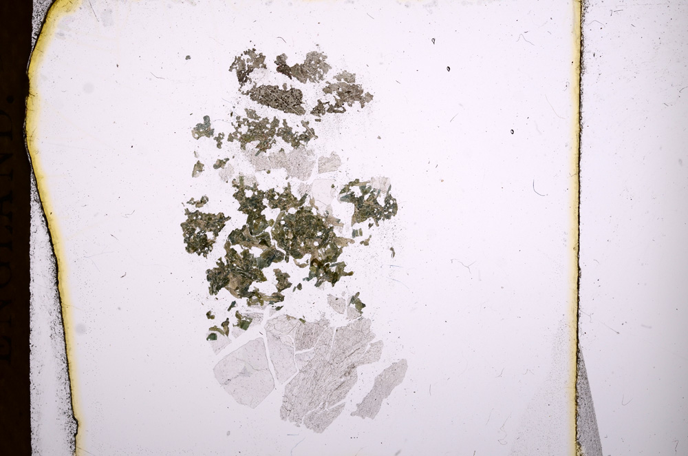Plane Polarized, E3723