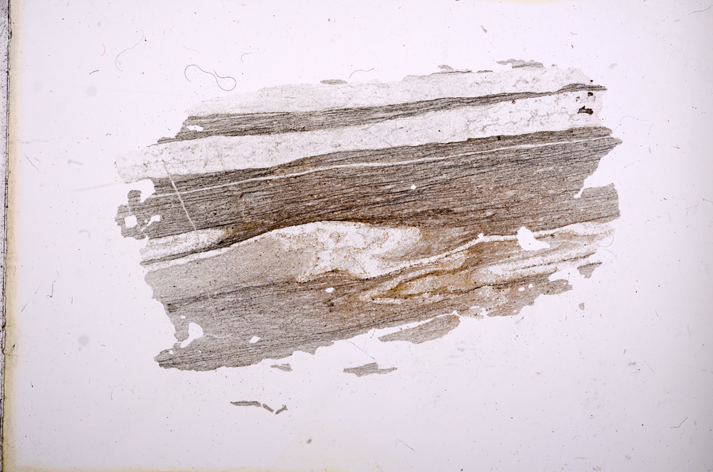 Plane Polarized, E3727