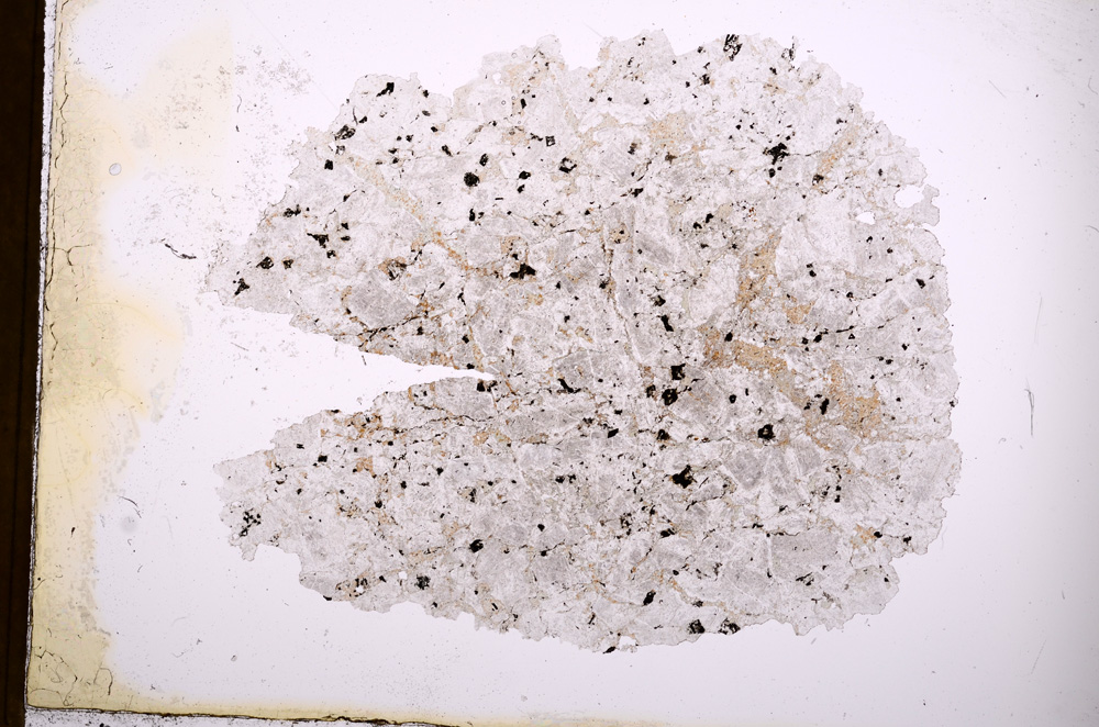 Plane Polarized, E3728