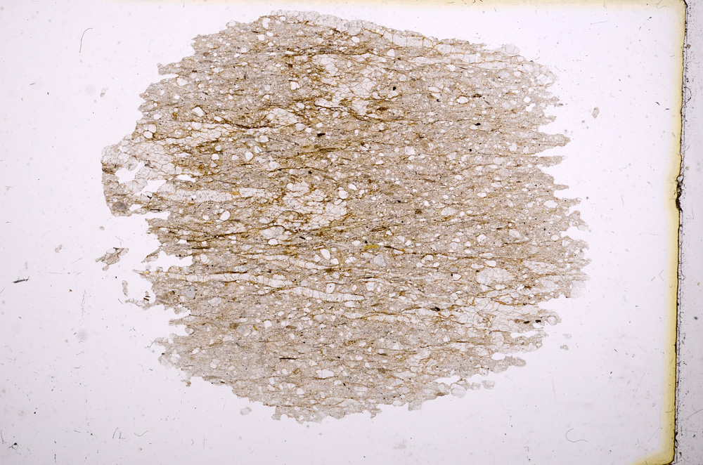 Plane Polarized, E3729