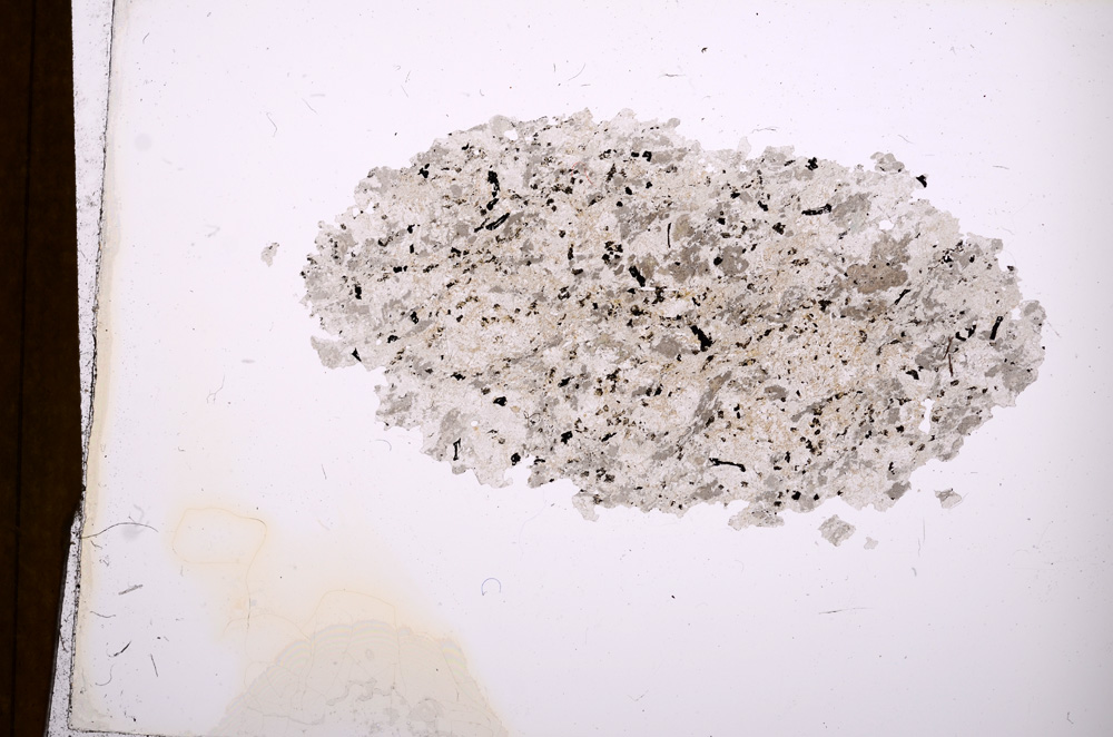 Plane Polarized, E3739