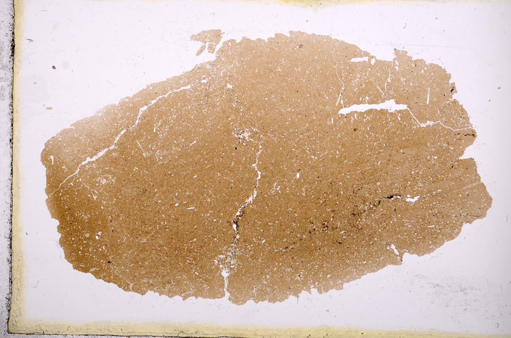 Plane Polarized, E3741