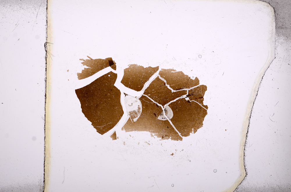 Plane Polarized, E3742