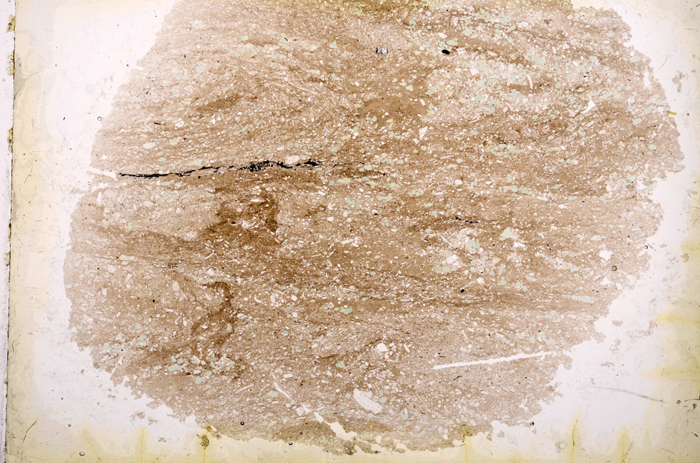 Plane Polarized, E3745