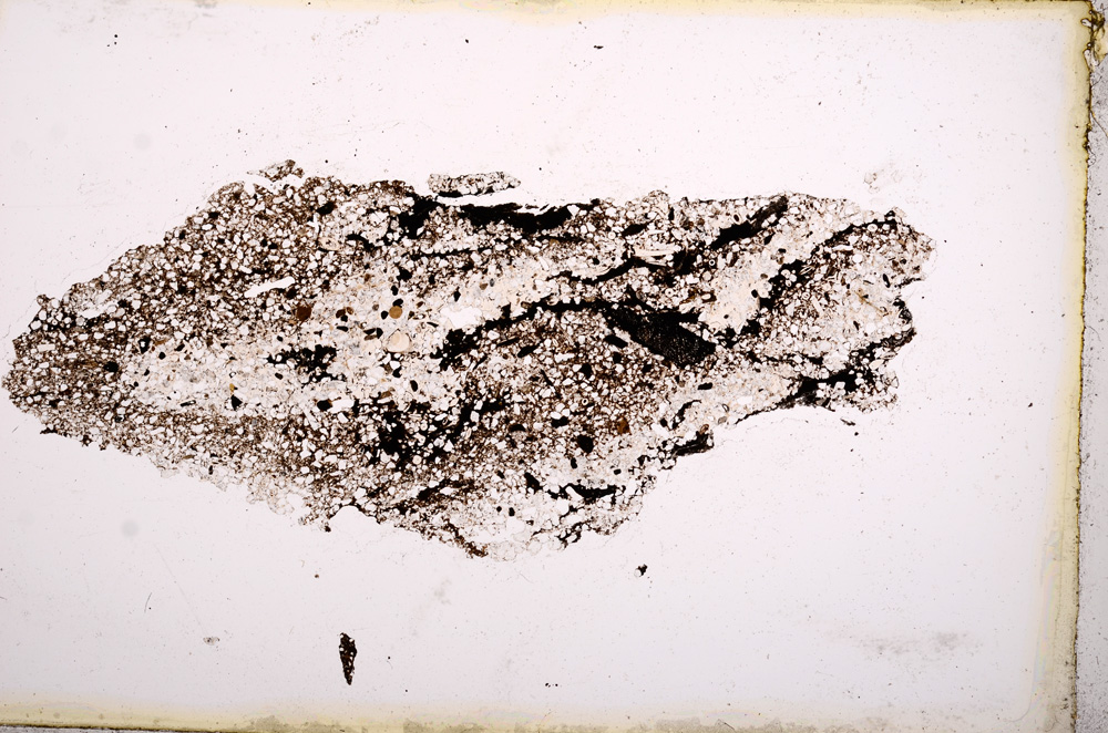 Plane Polarized, E3751