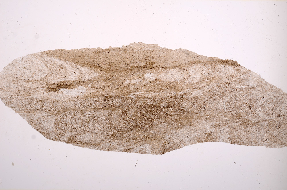 Plane Polarized, E3753