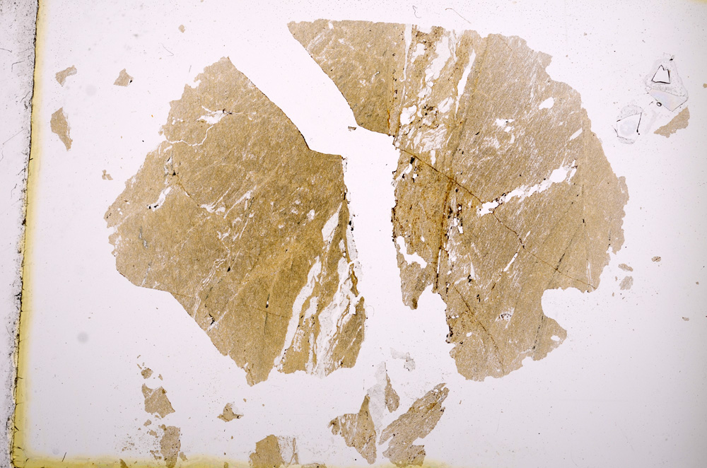 Plane Polarized, E3757