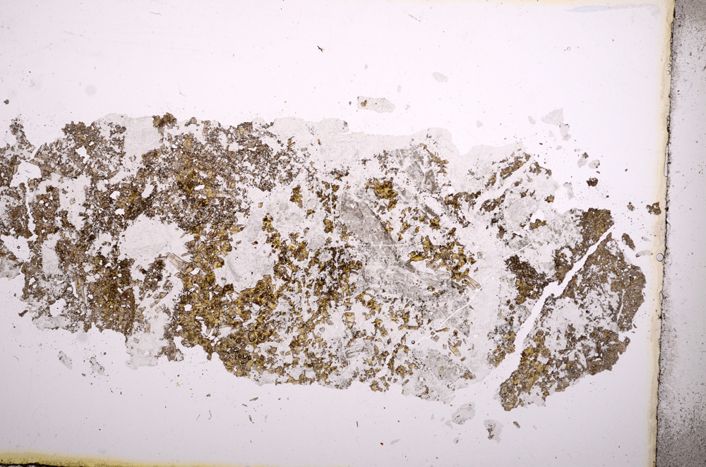 Plane Polarized, E3759