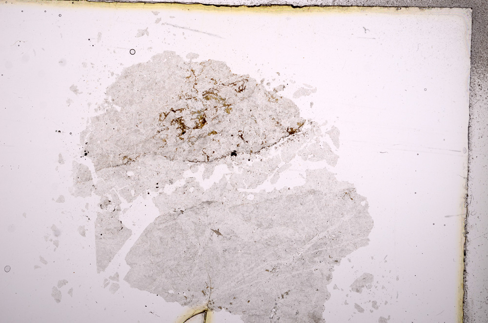 Plane Polarized, E3760