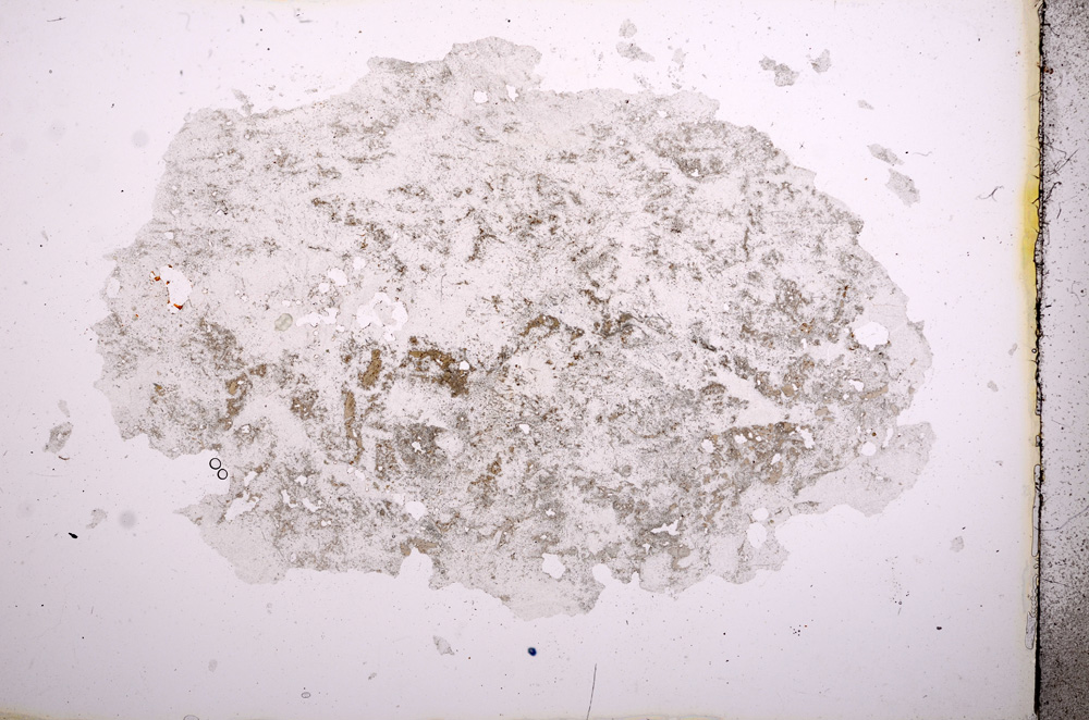 Plane Polarized, E3768