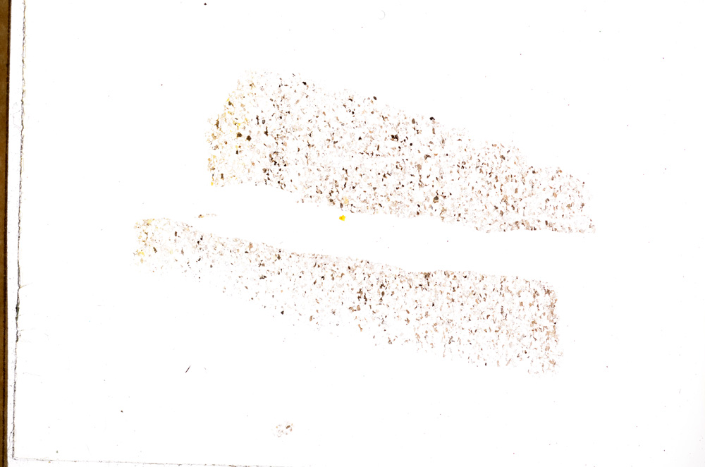 Plane Polarized, E3777