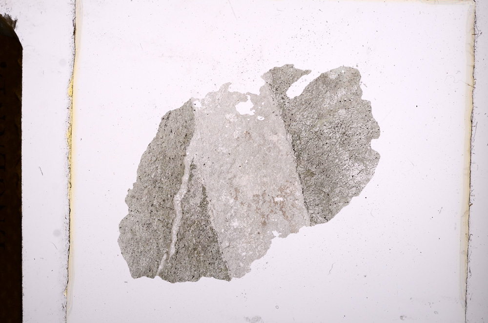 Plane Polarized, E3783