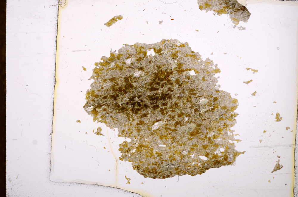 Plane Polarized, E3791