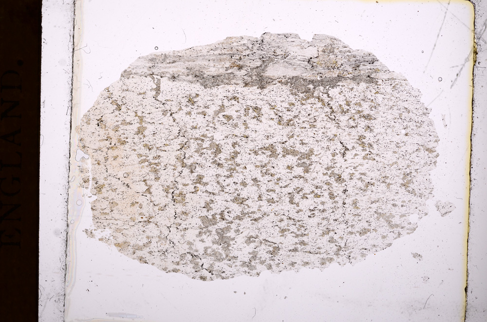 Plane Polarized, E3792