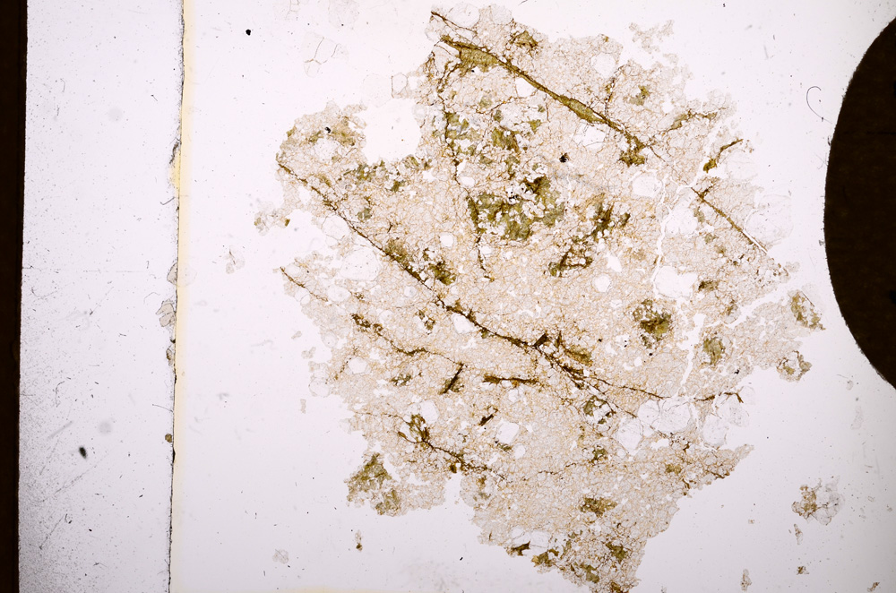 Plane Polarized, E3800