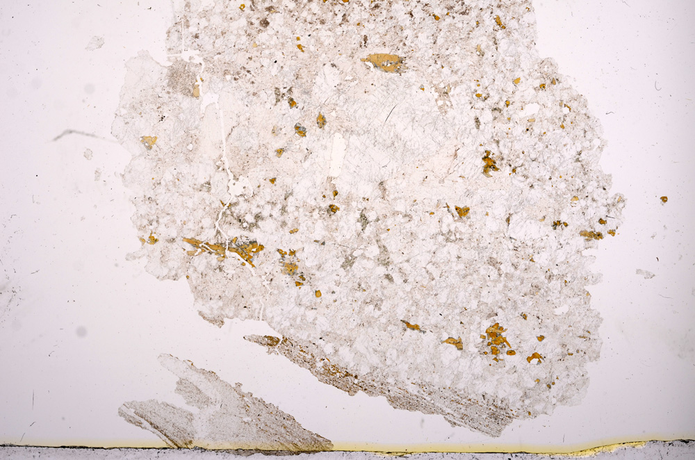 Plane Polarized, E3805