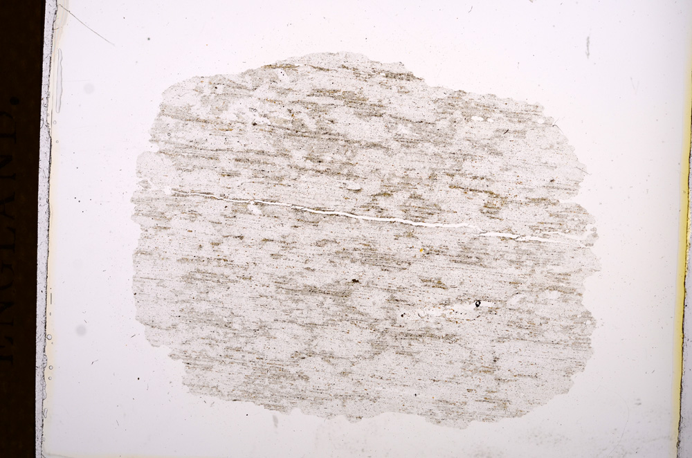 Plane Polarized, E3806