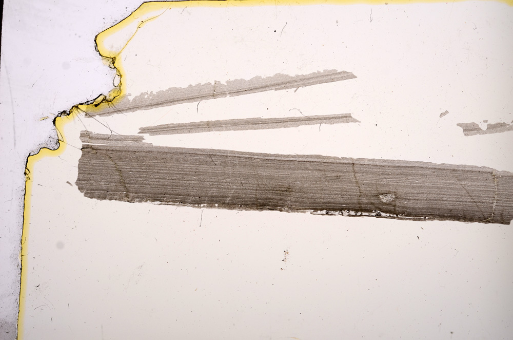 Plane Polarized, E3808