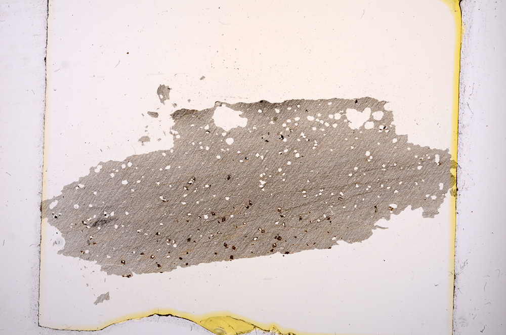 Plane Polarized, E3810